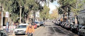 Bedrohtes Grün. 58 Straßenbäume wie diese stehen in der Pappelallee – noch. Das Bezirksamt erwägt, sie zu fällen und durch eine neu gepflanzte Allee zu ersetzen.