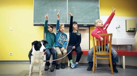 Schlechte Schulwahl. Jahr für Jahr landen zu viele Berliner Kinder versehentlich auf einer Hundeschule. Foto: dpa