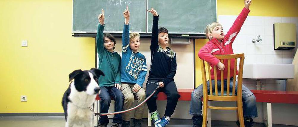 Schlechte Schulwahl. Jahr für Jahr landen zu viele Berliner Kinder versehentlich auf einer Hundeschule. Foto: dpa
