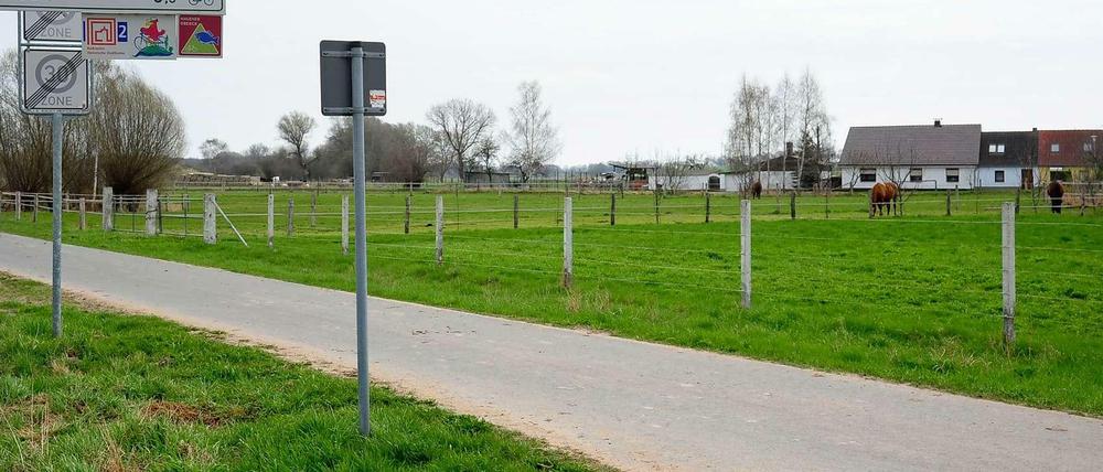 Hier zum Beispiel? Brandenburg ist voller schöner Ecken zum Wandern und Radfahren.