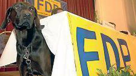 Gerhart sucht Baum. Dumme FDP-Witze sind unsere Sache nicht. Foto: dpa