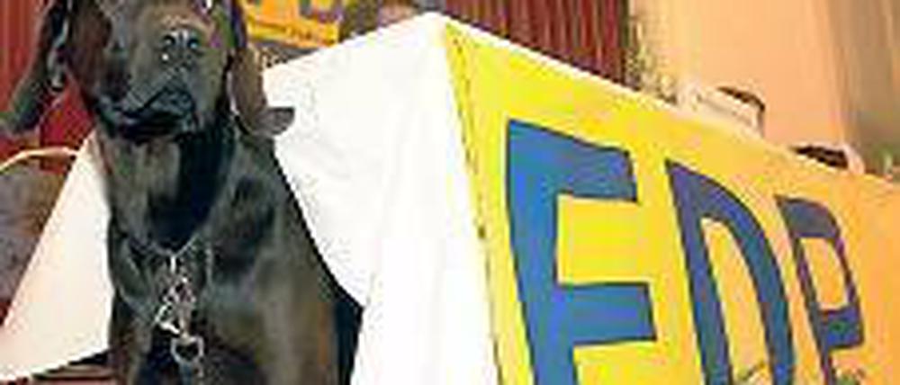 Gerhart sucht Baum. Dumme FDP-Witze sind unsere Sache nicht. Foto: dpa