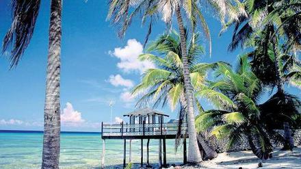 Traumhaft schön. Die Finanzwelt schätzt jedoch weniger die Strände als die Steuerfreiheit auf den Cayman Islands.