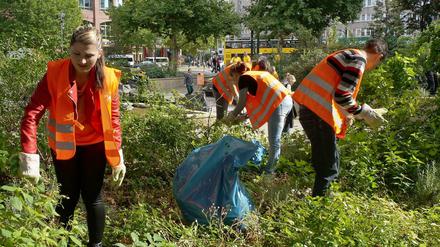 Rund um den Olof-Palme-Platz haben sich Freiwillige im Rahmen der "Sauberen Sache" um die wild wuchernden Pflanzen gekümmert.