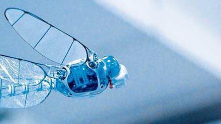 Flieg, Robo, flieg. Die Libellendrohne wurde vom deutschen Unternehmen Festo entwickelt und im Frühjahr auf der Hannovermesse vorgestellt.