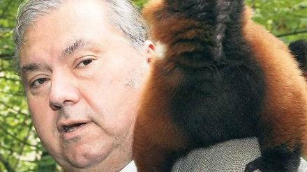 Ausgedient. Der bisherige Chef von Zoo und Tierpark, Bernhard Blaszkiewitz, hier mit einem roten Vari. Archivfoto: dpa
