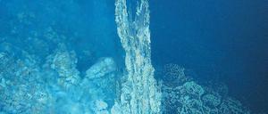 Tief im Ozean. An diesem Schlot wurde die Rekordtemperatur gemessen. 