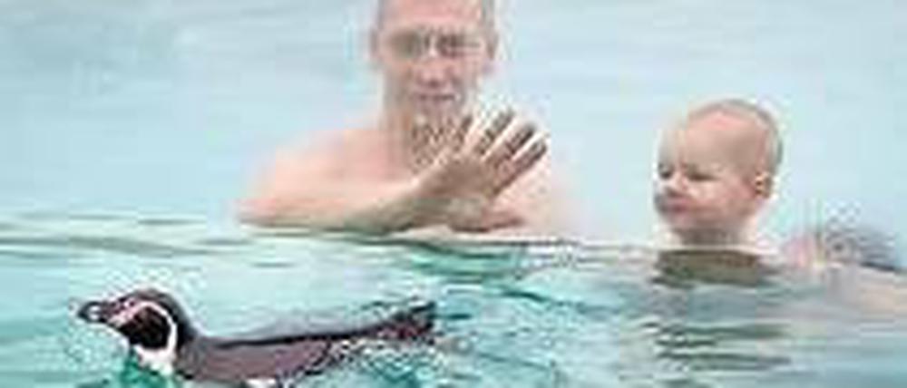 Schwimmen mit Tieren kann man bereits in Lübbenau.
