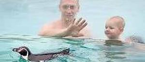 Schwimmen mit Tieren kann man bereits in Lübbenau.