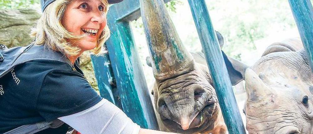 FÜR DAS LEBEN. Gaby Bryan, 55, aus Adelaide in Australien füttert hier zwei Nashorndamen im Zoo. Die schwer kranke Frau will mit ihrer Zootour quer durch Deutschland, die sie vergangene Woche auch nach Berlin führte, auf die bedrohte Lage der Nashörner in der Wildnis hinweisen und Geld für Projekte gegen die Wilderei sammeln.