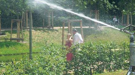 Spritztour. Während im Tiergarten regelmäßig im Auftrag des Bezirksamts gewässert wird, brauchen viele Straßenbäume die Hilfe des Bürgers.