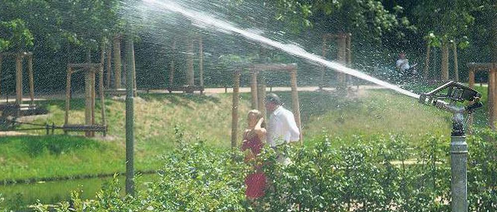 Spritztour. Während im Tiergarten regelmäßig im Auftrag des Bezirksamts gewässert wird, brauchen viele Straßenbäume die Hilfe des Bürgers.