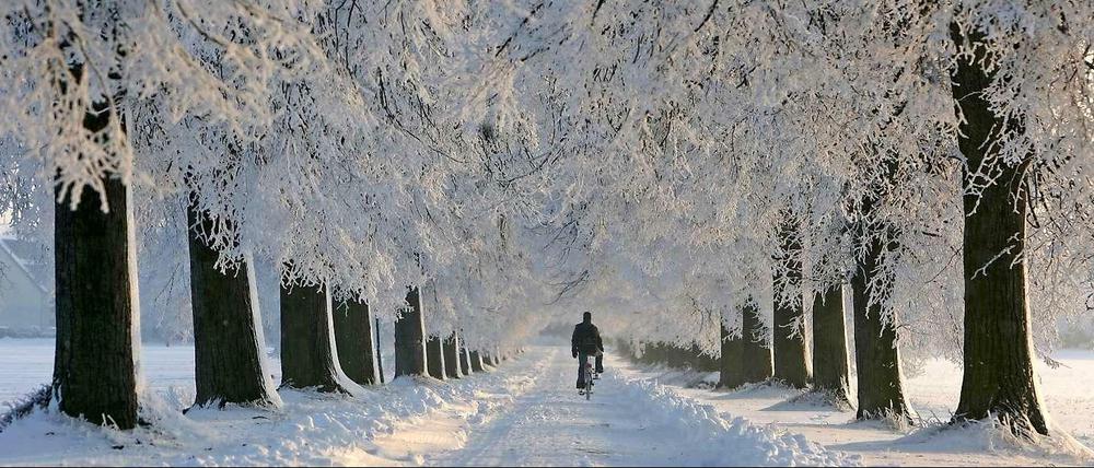 Stefan Jacobs macht sich kühle Gedanken.