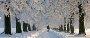 Stefan Jacobs macht sich kühle Gedanken.