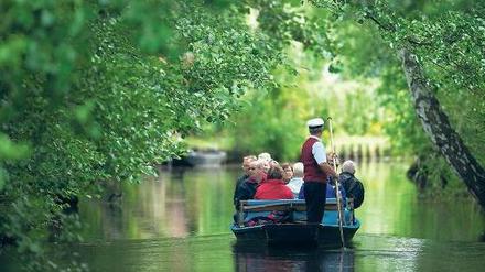 Glück gehabt. Bislang ist im Spreewald vom Rostschlamm der braunen Spree nichts zu sehen. Entwarnung gibt es aber noch nicht.Foto: Patrick Pleul/dpa