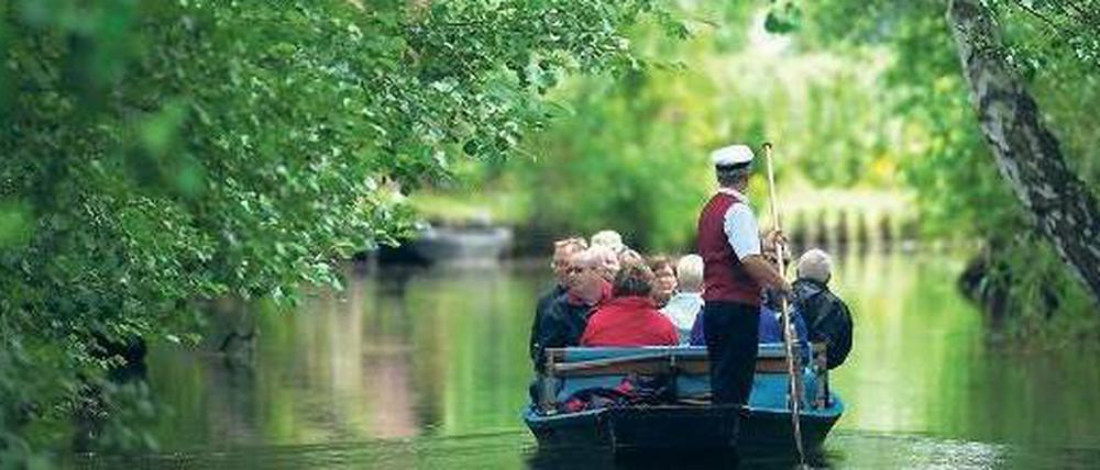 Glück gehabt. Bislang ist im Spreewald vom Rostschlamm der braunen Spree nichts zu sehen. Entwarnung gibt es aber noch nicht.Foto: Patrick Pleul/dpa