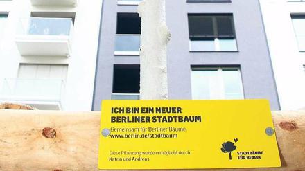 Mit Plakette und Siegel. So erkennt man gespendete Bäume.