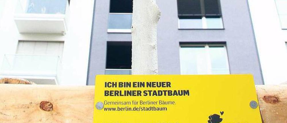 Mit Plakette und Siegel. So erkennt man gespendete Bäume.