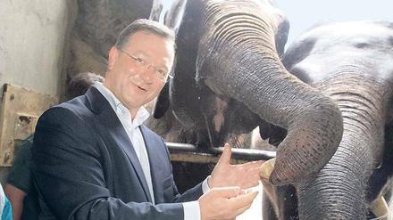 Im Streichelzoo. Frank Henkel, der CDU-Landesvorsitzende und Innensenator, war schon öfter im Tierpark zu Besuch. Archivbild (2011): Davids/Darmer