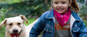 Gefährliche Tipps für Kinder? Experten kritisieren die ZDF-Sendung "Die Hundeflüsterin".