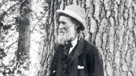 Mein Freund, der Mammutbaum. John Muir und eine Sequoia. Foto: akg / Science Photo Library