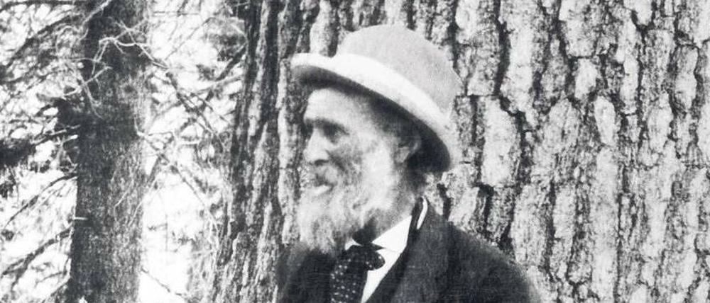 Mein Freund, der Mammutbaum. John Muir und eine Sequoia. Foto: akg / Science Photo Library