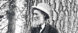 Mein Freund, der Mammutbaum. John Muir und eine Sequoia. Foto: akg / Science Photo Library