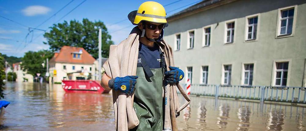 Sie sind fleißige Helfer in der Hochwasserkatastrophe: die Helfer vom Technischen Hilfswerk - hier zugange in Dresden.
