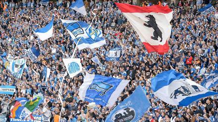 Zu einem Spiel zwischen Hertha BSC und Manchester United wären wohl viele Fans ins Olympiastadion gekommen - doch Hertha sagte ab.