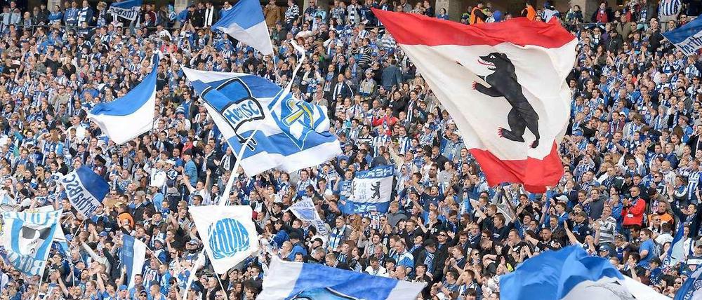 Zu einem Spiel zwischen Hertha BSC und Manchester United wären wohl viele Fans ins Olympiastadion gekommen - doch Hertha sagte ab.