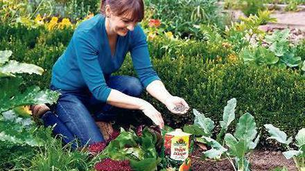 Einfach loslegen? Im Prinzip darf man das in der Gartenanlage eines Mehrfamilienhauses. 