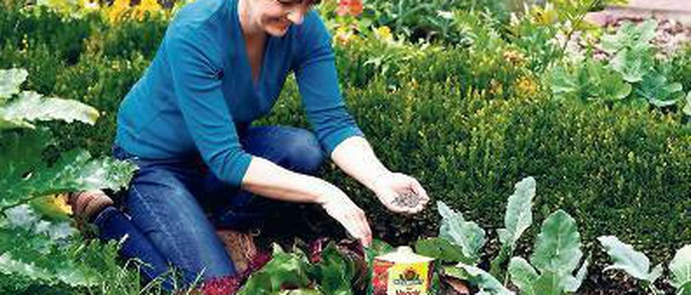 Einfach loslegen? Im Prinzip darf man das in der Gartenanlage eines Mehrfamilienhauses. 