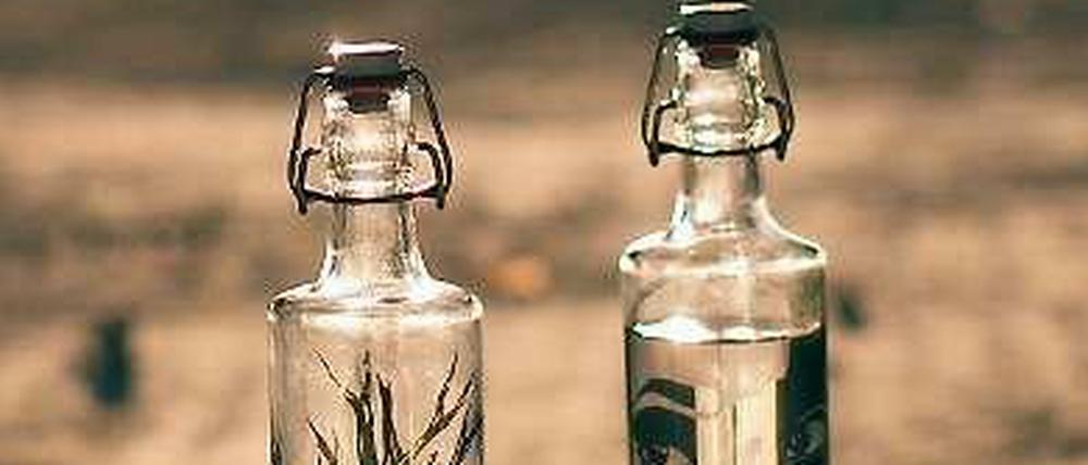 Soulbottles: nicht nur schick, sondern auch aus umweltschonend hergestelltem Glas.