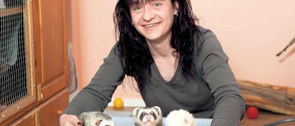 DIE WANNE IST VOLL. Dass Nicole Reipsch zu ihren zwei eigenen noch vier Frettchen zur Pflege zu Hause hat, ist nicht ungewöhnlich. Es sind Tiere von Freunden, die gerade verreist sind. Bonnie und Angus, die Albinos Lemmy und Odin und Nicoles Privattiere Ozzy und Clyde fühlen sich im Rudel pudelwohl.