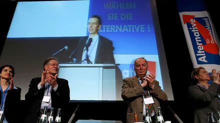 Kurz vor dem Mittagessen wurde noch schnell das Wahlprogramm durchgestimmt - Gründungsparteitag der "Alternative für Deutschland".