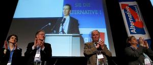 Kurz vor dem Mittagessen wurde noch schnell das Wahlprogramm durchgestimmt - Gründungsparteitag der "Alternative für Deutschland".