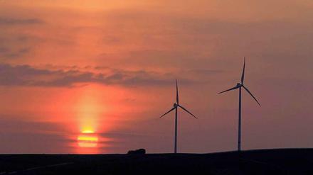 52 Windräder sollen im Berliner Umland aufgebaut werden.