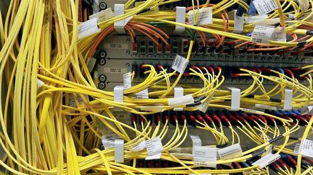 „Die Hauptstadt entwickelt sich zu einem der weltweit führenden Standorte der Digitalen Wirtschaft“, bilanziert IHK-Hauptgeschäftsführer Jan Eder. „Der IKT-Sektor sichert wirtschaftliches Wachstum und Beschäftigung.“