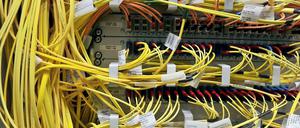 „Die Hauptstadt entwickelt sich zu einem der weltweit führenden Standorte der Digitalen Wirtschaft“, bilanziert IHK-Hauptgeschäftsführer Jan Eder. „Der IKT-Sektor sichert wirtschaftliches Wachstum und Beschäftigung.“