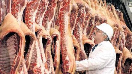 Schlachten für drei Euro pro Stunde. Die Gewerkschaften werfen den großen Unternehmen der Branche vor, über Werkverträge die Löhne zu drücken. Belgien sieht den Wettbewerb und seine eigene Schlachtbranche gefährdet. 