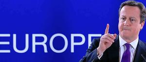 Er zeigte sich unnachgiebig: Der britische Premier David Cameron setzte sich beim Gipfel vehement für Kürzungen im Haushalt ein. . 