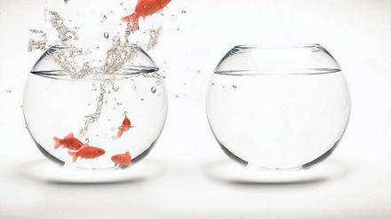 Auf dem Sprung. Wer sich im Assessment Center behaupten will, muss sich von den anderen abheben. Dabei suchen Personaler aber nicht unbedingt die lautesten Bewerber, sondern die mit den innovativsten Ideen. Foto: fotolia