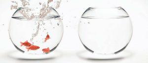 Auf dem Sprung. Wer sich im Assessment Center behaupten will, muss sich von den anderen abheben. Dabei suchen Personaler aber nicht unbedingt die lautesten Bewerber, sondern die mit den innovativsten Ideen. Foto: fotolia