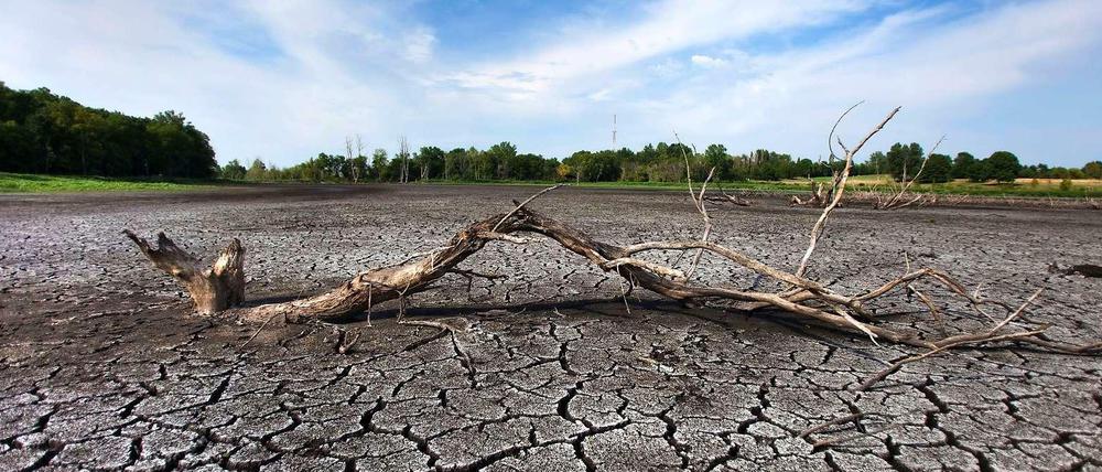 Heißes Land. Die USA wurden im Sommer 2012 von einer heftigen Hitzewelle heimgesucht. Hier eine Aufnahme eines ausgetrockneten Sumpfs in West Lafayette (Indiana). 