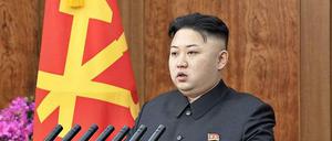 Er sieht eine glänzende Zukunft für sein Land: Kim Jong Un.