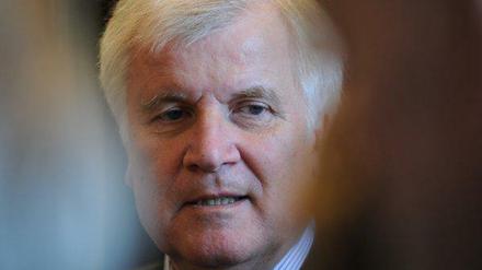 CSU-Chef Horst Seehofer mischt sich in die Führungskrise der FDP ein.