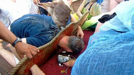 Küss den...Fisch! Der mächtige Neptun kennt keine Gnade – zur Huldigung müssen die Täuflinge auf die Knie fallen.