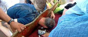 Küss den...Fisch! Der mächtige Neptun kennt keine Gnade – zur Huldigung  müssen die Täuflinge auf die Knie fallen.