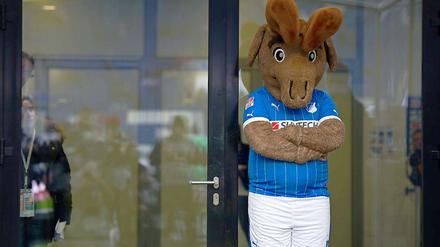 Gleich dampft das Hoffenheimer Maskottchen "Hoffi".