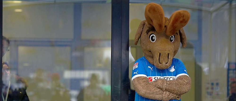 Gleich dampft das Hoffenheimer Maskottchen "Hoffi".
